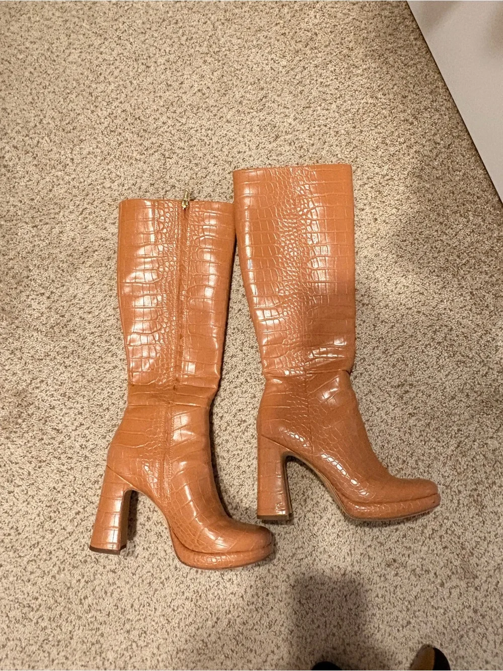 Circus by Sam Edelman Croc Brown Knee-High Block Heel Boots